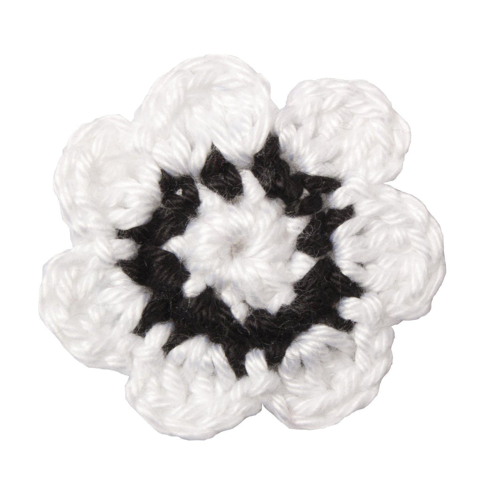 Baltische Corporation Fraternitas Dorpatensis München Revers Blume-C.H.-Conrad Hasselbach Shoes & Garment