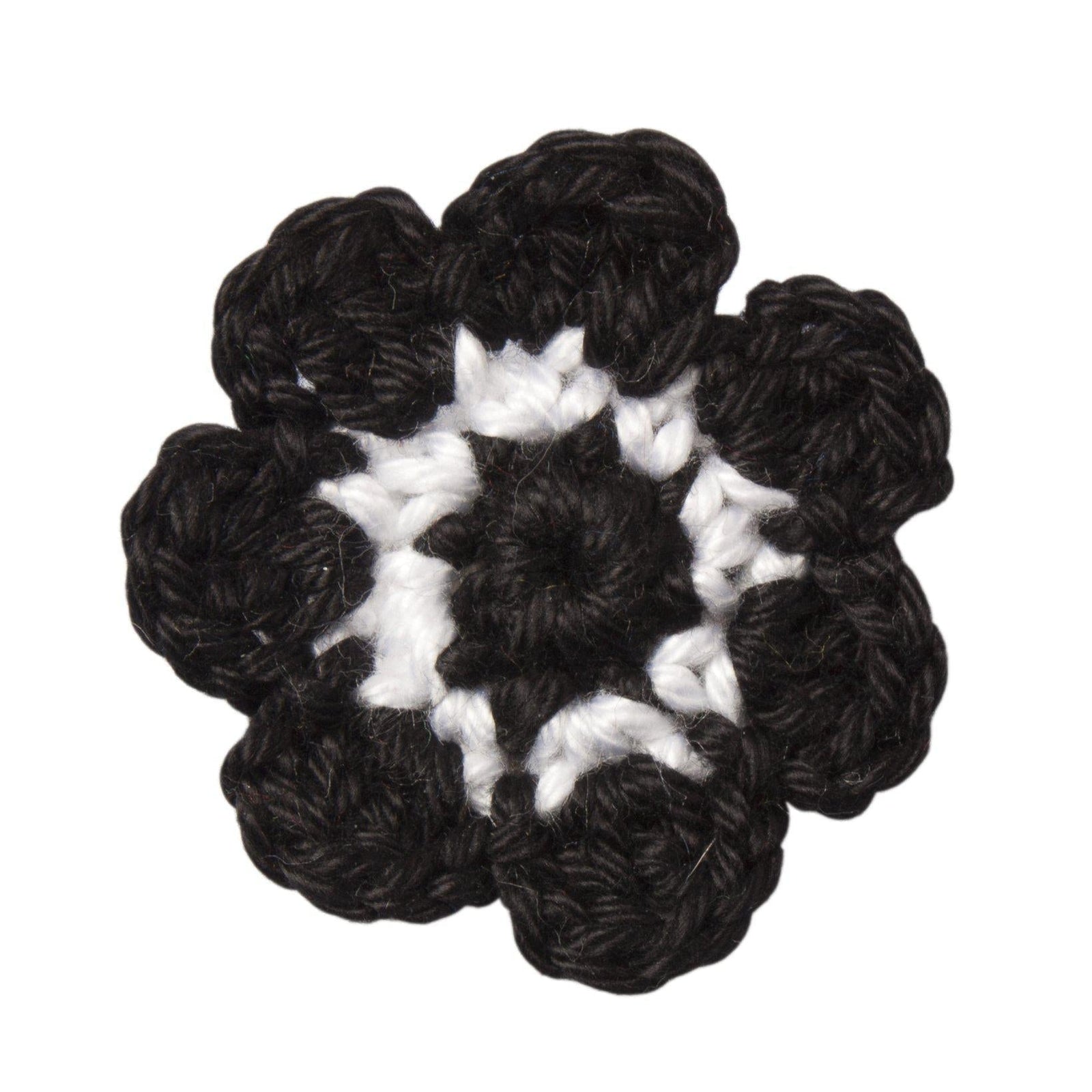 Corps Borussia Bonn Revers Blume-C.H.-Conrad Hasselbach Shoes & Garment