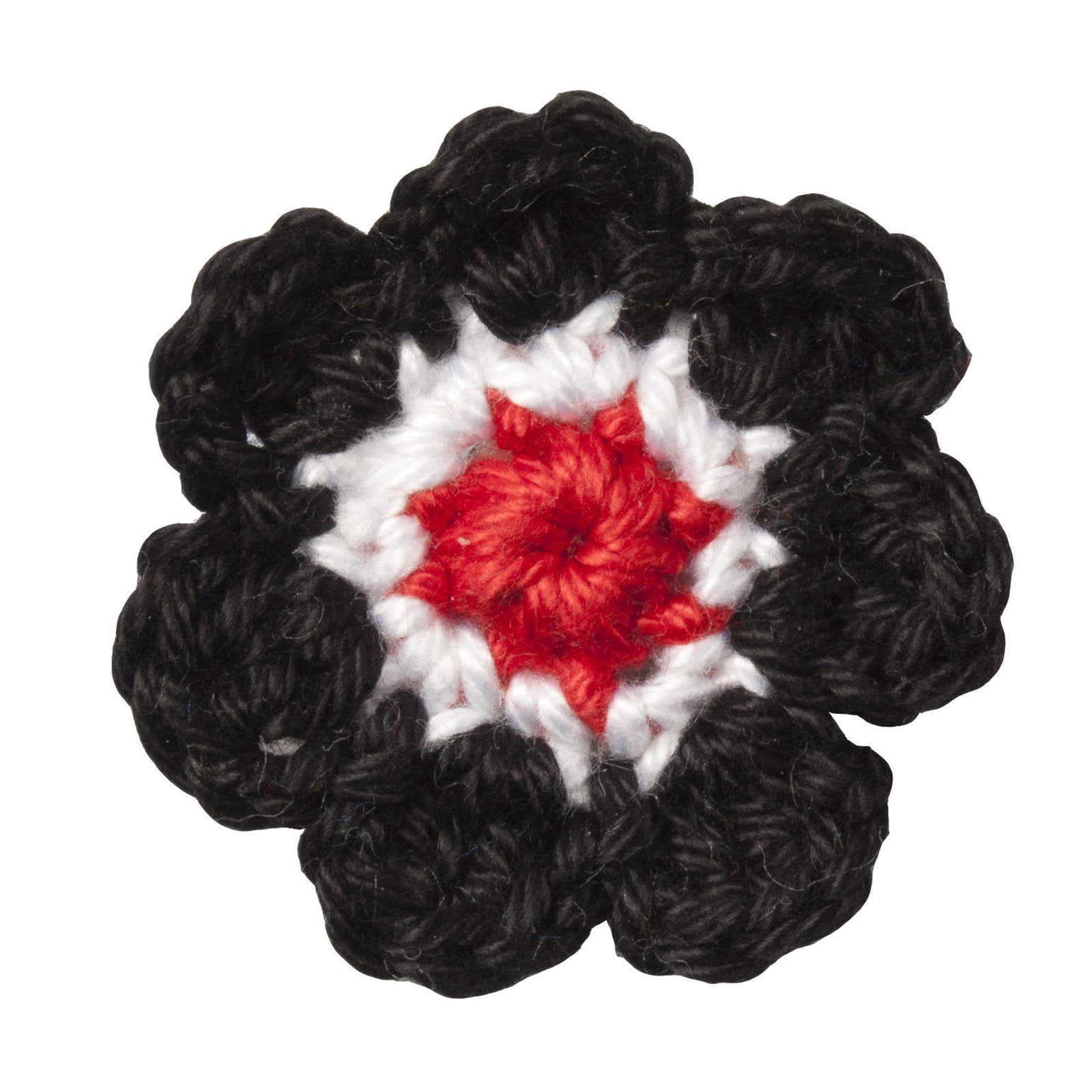 Corps Suevia Tübingen Revers Blume-C.H.-Conrad Hasselbach Shoes & Garment